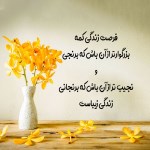 فاطمه  مجاهدی